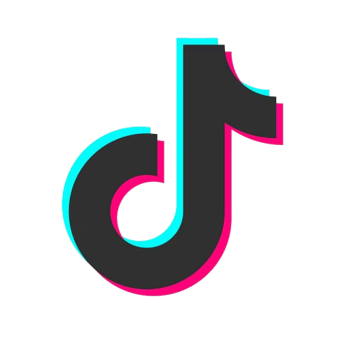 TikTok Icon